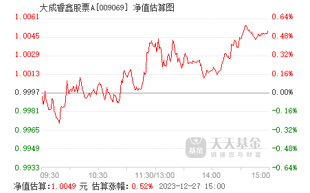 大成睿鑫股票a009069