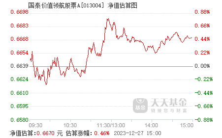 国泰价值领航股票a013004