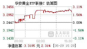 000217基金盘中实时估值图