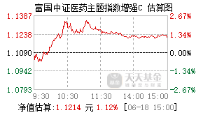 005626基金盘中实时估值图