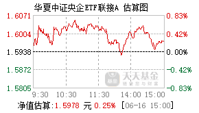 006196基金盘中实时估值图