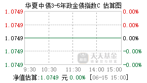 007187基金盘中实时估值图