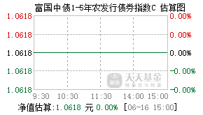 007198基金盘中实时估值图