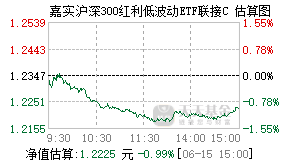 007606基金盘中实时估值图