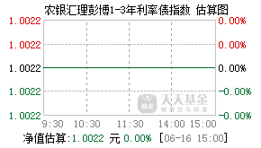 008216基金盘中实时估值图