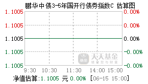 008957基金盘中实时估值图