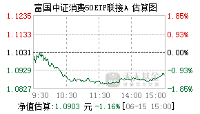 008975基金盘中实时估值图