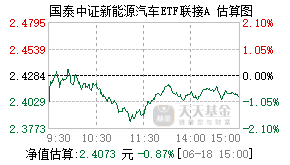009067基金盘中实时估值图