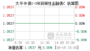 009088基金盘中实时估值图
