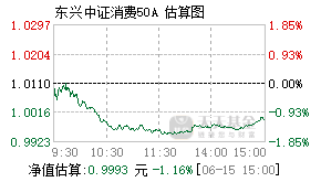 009116基金盘中实时估值图