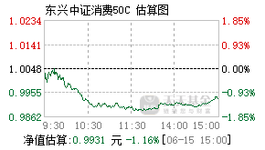 009117基金盘中实时估值图