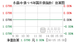 009172基金盘中实时估值图