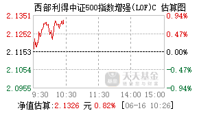 009300基金盘中实时估值图