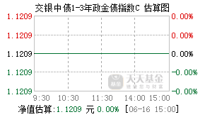 009316基金盘中实时估值图