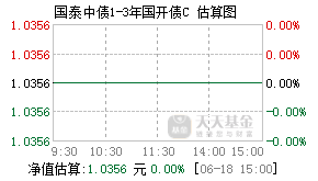 009594基金盘中实时估值图