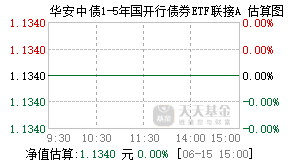009656基金盘中实时估值图