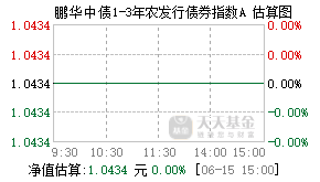 009702基金盘中实时估值图