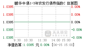 009703基金盘中实时估值图
