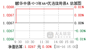 009742基金盘中实时估值图