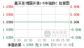 009773基金盘中实时估值图