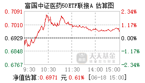012801基金盘中实时估值图