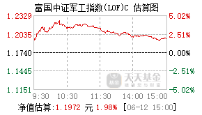 013035基金盘中实时估值图