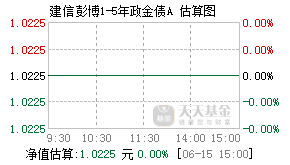 013169基金盘中实时估值图