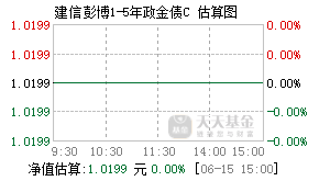 013170基金盘中实时估值图