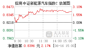 013196基金盘中实时估值图