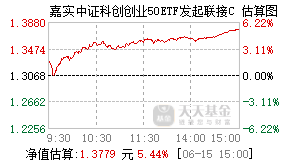 013316基金盘中实时估值图