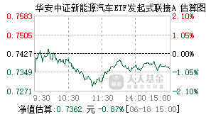 013319基金盘中实时估值图