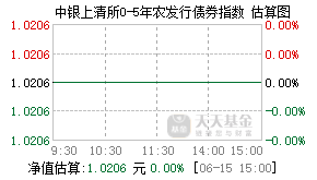 013653基金盘中实时估值图