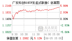 013811基金盘中实时估值图