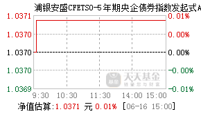 013987基金盘中实时估值图