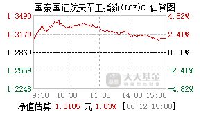 015599基金盘中实时估值图