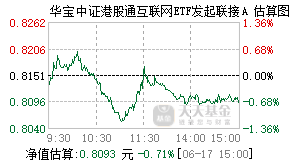 017125基金盘中实时估值图