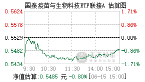 017185基金盘中实时估值图
