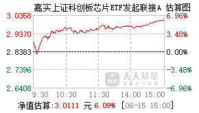 017469基金盘中实时估值图