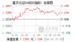017528基金盘中实时估值图