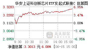 017560基金盘中实时估值图