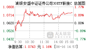 017779基金盘中实时估值图