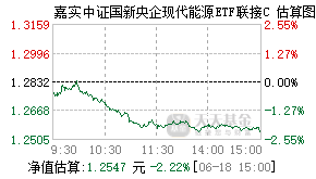 019593基金盘中实时估值图