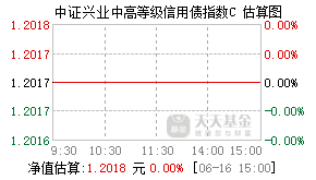 020286基金盘中实时估值图