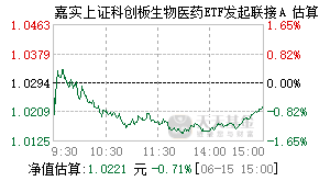 021060基金盘中实时估值图