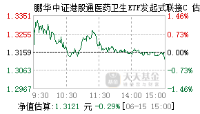 021089基金盘中实时估值图
