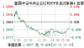 021243基金盘中实时估值图