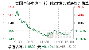 021244基金盘中实时估值图
