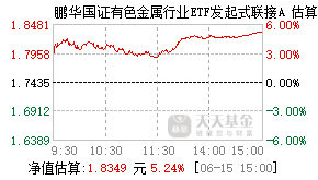 021296基金盘中实时估值图
