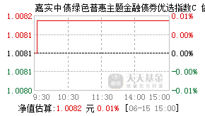 021349基金盘中实时估值图