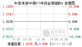 021353基金盘中实时估值图